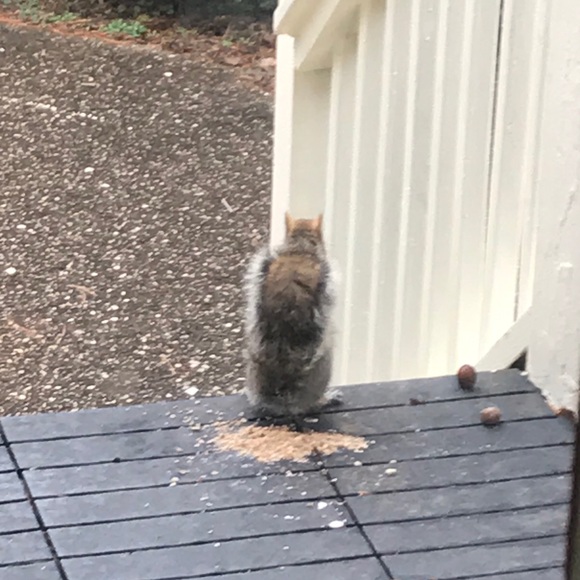 Meet your Posher, Jeremy - Picture 1 of 1